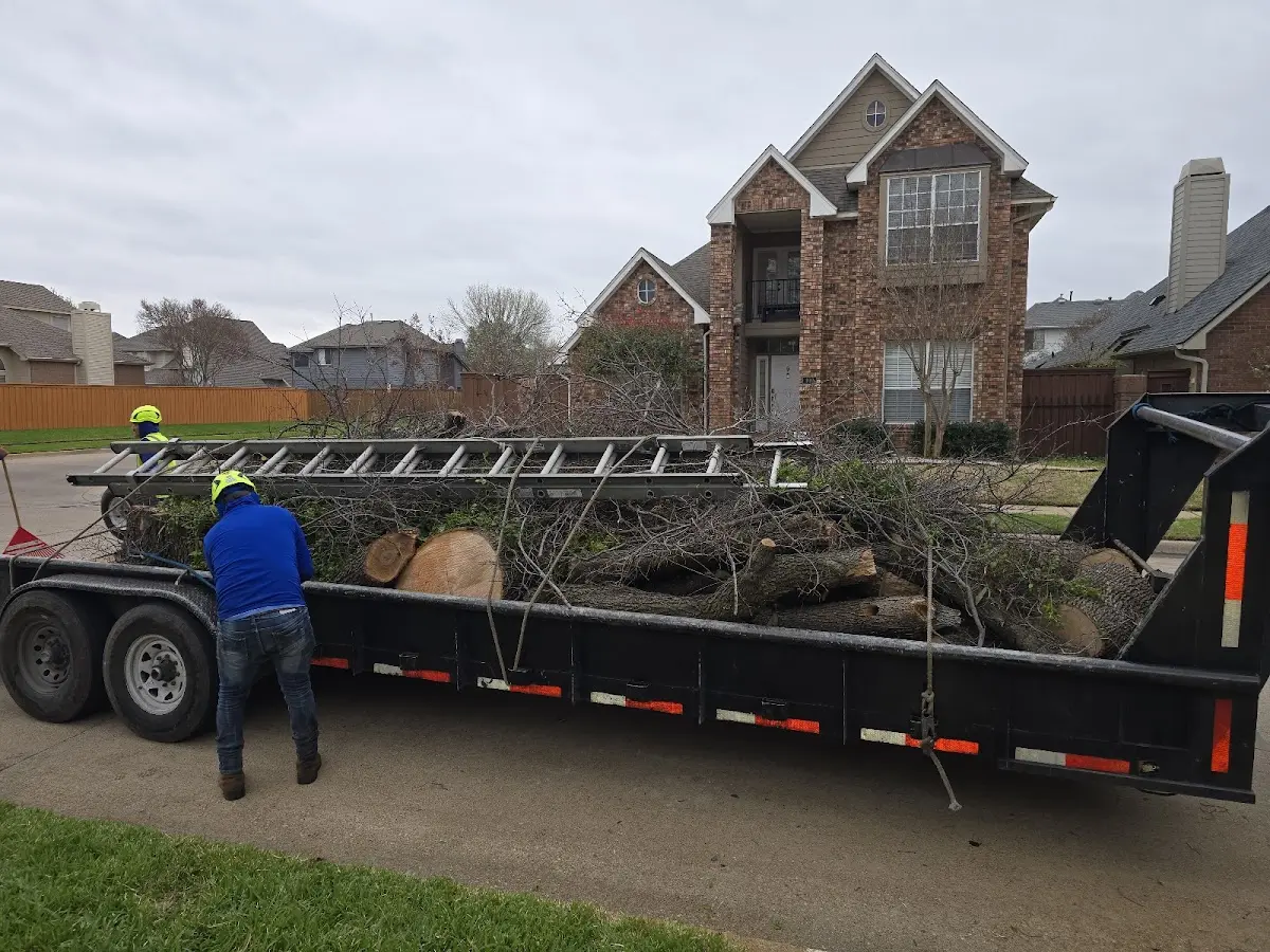 Expert Tree Fertilization with proper safety equipment in Saint Francisville